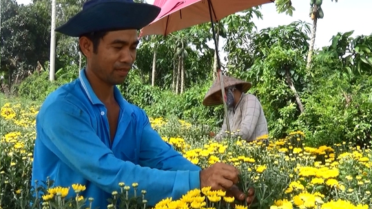 
Người trồng hoa ở Sa Đéc trúng lớn trong dịp Tết Đoan Ngọ năm nay
