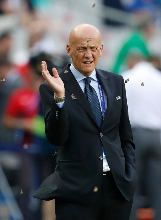 Cựu trọng tài Pierluigi Collina bị bướm đêm quấy rối