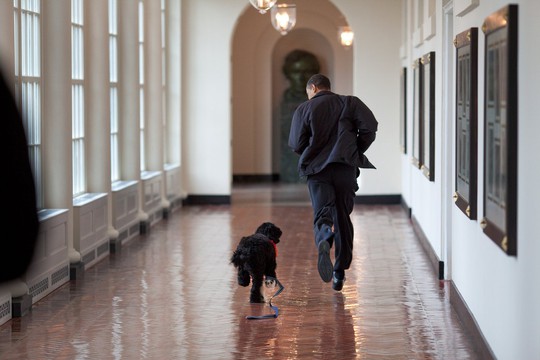 Tháng 3-2008, ông Obama chạy dọc hàng cột phía Đông của Nhà Trắng cùng chú chó Bo nhà nuôi
