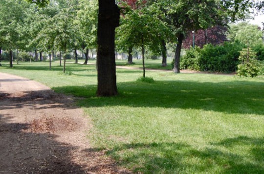 
Công viên Bois de Vincennes. Ảnh: 20min.ch
