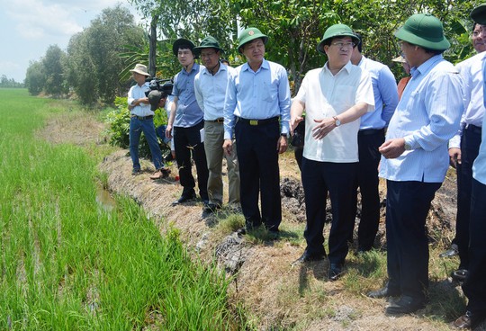 Phó Thủ tướng Trịnh Đình Dũng đi thực tế tại vùng trồng vụ lúa hè thu sớm ở xã Ninh Hòa, huyện Hồng Dân