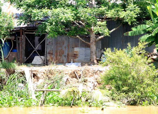 Khu vực cù lao Tân Lộc bị sạt lở vào sát nhà người dân
