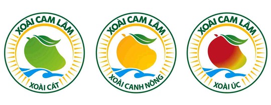 
Ba loại xoài được Cục Sở hữu trí tuệ bảo hộ nhãn hiệu chứng nhận xoài Cam Lâm
