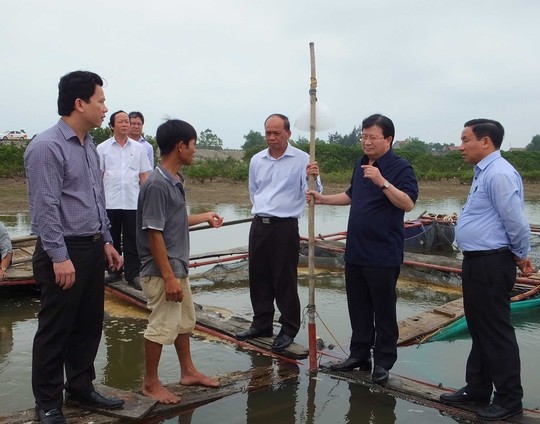 Phó Thủ tướng Trịnh Đình Dũng (thứ hai từ phải sang) kiểm tra việc khắc phục hậu quả cá chết tại thị xã Kỳ Anh, tỉnh Hà Tĩnh ngày 24-4Ảnh: Thanh Hoa
