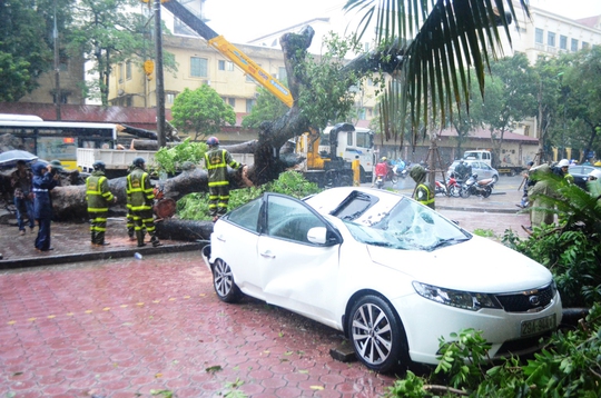 Cây xanh ngã đè bẹp một ô tô tại TP Hà Nội chiều 19-8Ảnh: Nguyễn Hưởng