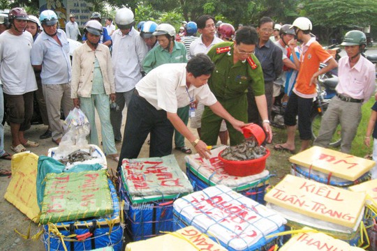 
Thực phẩm bẩn đang là quốc nạn cần sự vào cuộc của các cấp quản lý nhà nước, các doanh nghiệp và tất cả mọi người dân.
