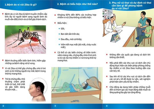 
Mẹ mang thai trong 3 tháng đầu nhiễm virus Zika có nguy cơ sinh ra con bị chứng đầu nhỏ
