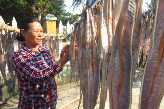 
Trung bình hơn 2kg cá hố tươi thì thu được khoảng 1kg cá khô và bán với giá ổn định từ 80.000 đồng đến hơn 100.000 đồng
