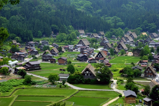 
Vẻ đẹp tinh khôi của ngôi làng cổ Shirakawago
