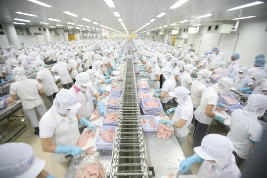 
Xuất khẩu thuỷ hải sản là thế mạnh của Việt Nam. Ảnh minh hoạ.

