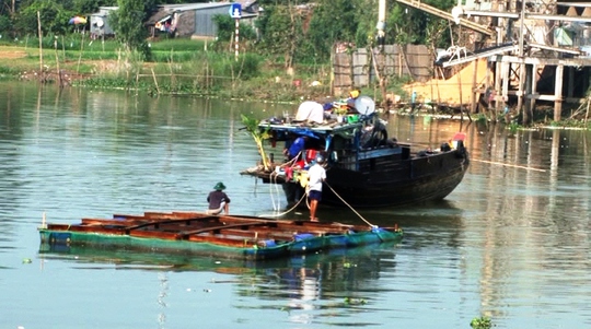 
Nhiều hộ nuôi cá gần đó phải di dời bè cá đi lánh nạn.
