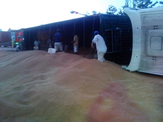 
Người dân giúp thu dọn 12 tấn lúa mì đổ tràn Quốc lộ 1
