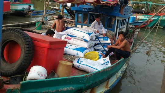 Một trong số hàng trăm ghe cào sò trộm tại bãi sò của HTX Đồng Lợi đã bị lực lượng chức năng bắt giữ cùng tang vật có liên quan.