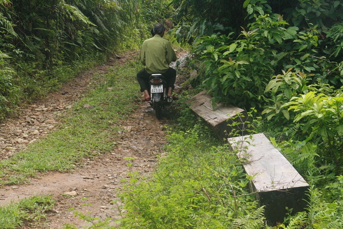 Phó chủ tịch tỉnh Quảng Nam: Tôi nghi ngờ cán bộ tiếp tay cho lâm tặc