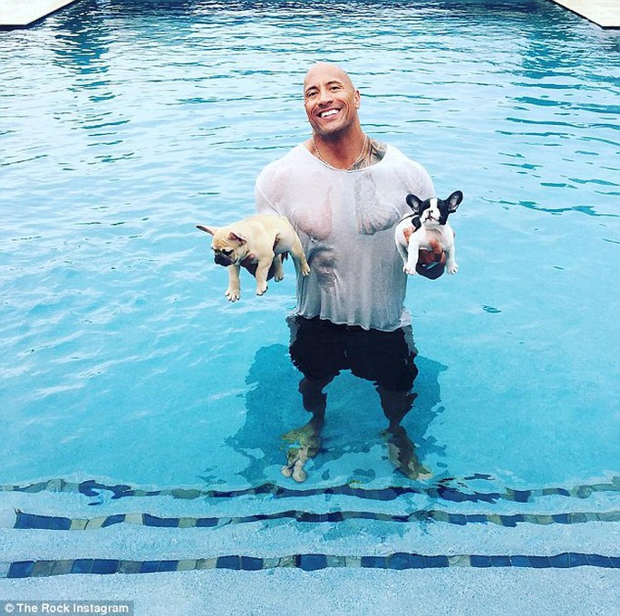 The Rock once saved and adopted two dogs