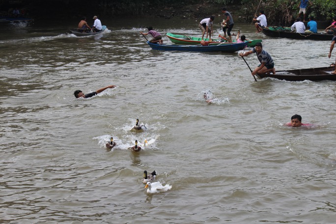 
Vịt là phần thưởng dành cho những người bắt được
