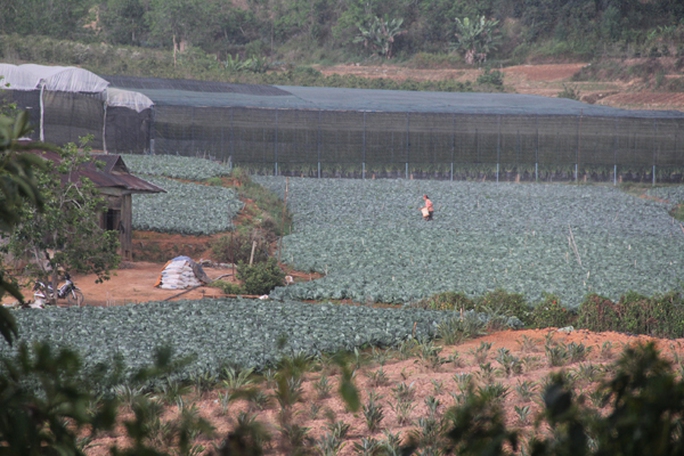 
Mưa đột ngột làm nhiều người không kịp tìm nơi trú mưa
