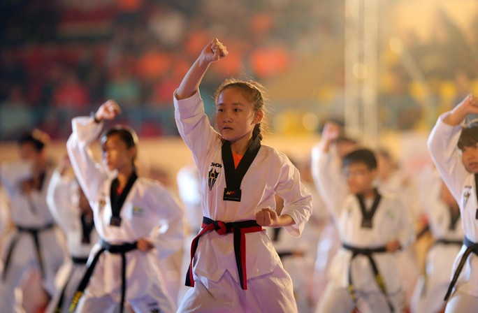 võ taekwondo