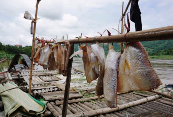 
Người dân tiếc công tiếc của đã làm thịt cá phơi để dùng hoặc cho người thân về dùng
