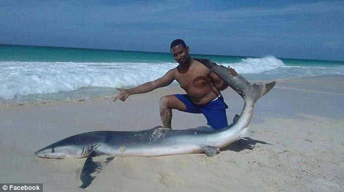 
Con cá mập chết thảm sau khi bị lôi lên bờ chụp hình. Ảnh: Facebook
