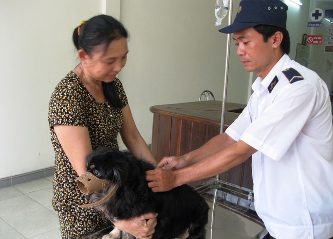 Tiêm phòng cho chó ở huyện Tuy An, tỉnh Phú Yên để ngăn ngừa bệnh dại lây lan