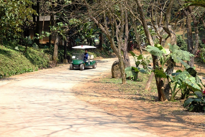 Nhiều xe điện hoạt động trong khu resort