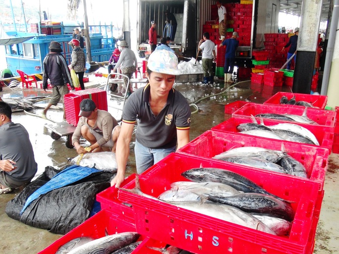 
Công lao động cũng đạt tới 10 triệu đồng/người, gấp đôi so với chuyến đi biển ngày thường
