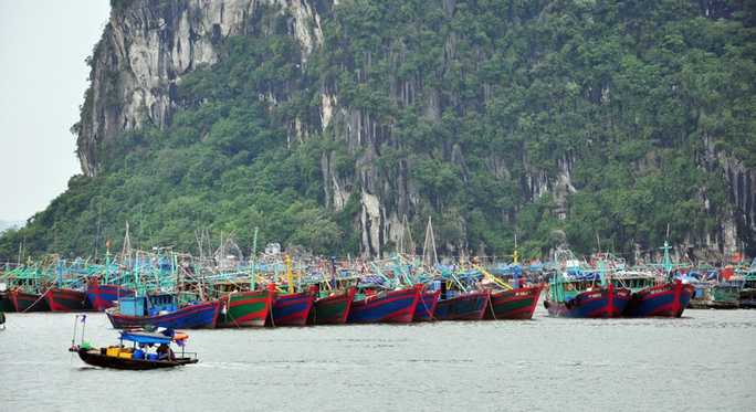 
Tàu thuyền ở Quảng Ninh về nơi tạm trú an toàn
