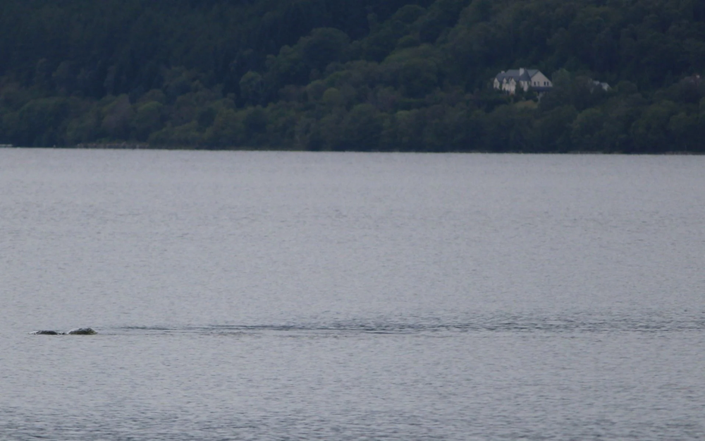 Bức ảnh mới nhất chụp “quái vật Loch Ness” đang gây xôn xao - Ảnh 3.