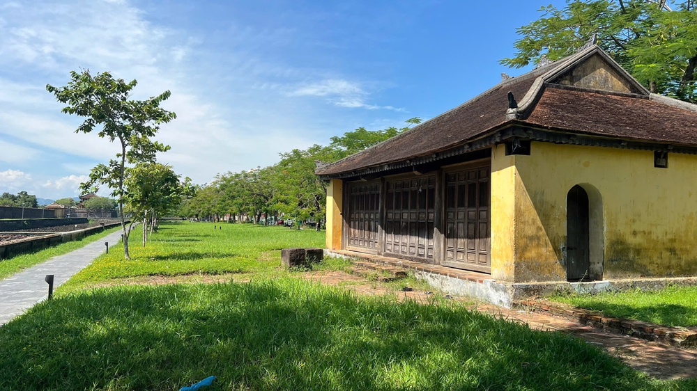 Y học cung đ&igrave;nh chờ ng&agrave;y trở lại- Ảnh 3.