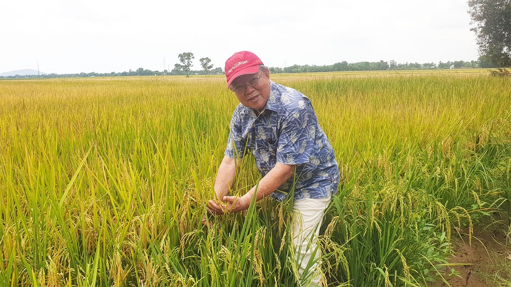 GS-TS Võ Tòng Xuân và khát vọng bảo đảm an ninh lương thực toàn cầu- Ảnh 5.