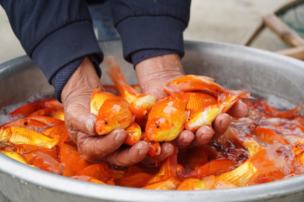 Thu cả trăm triệu từ nghề bán phương tiện “ông Công, ông Táo” về trời- Ảnh 10.