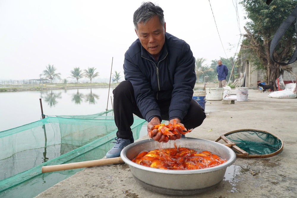 Thu cả trăm triệu từ nghề bán phương tiện “ông Công, ông Táo” về trời- Ảnh 1.