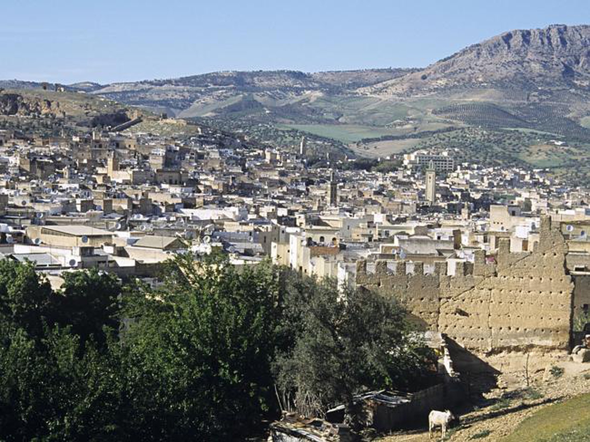 The ancient Moroccan city of Fez, where Ms El Houari would meet her end.