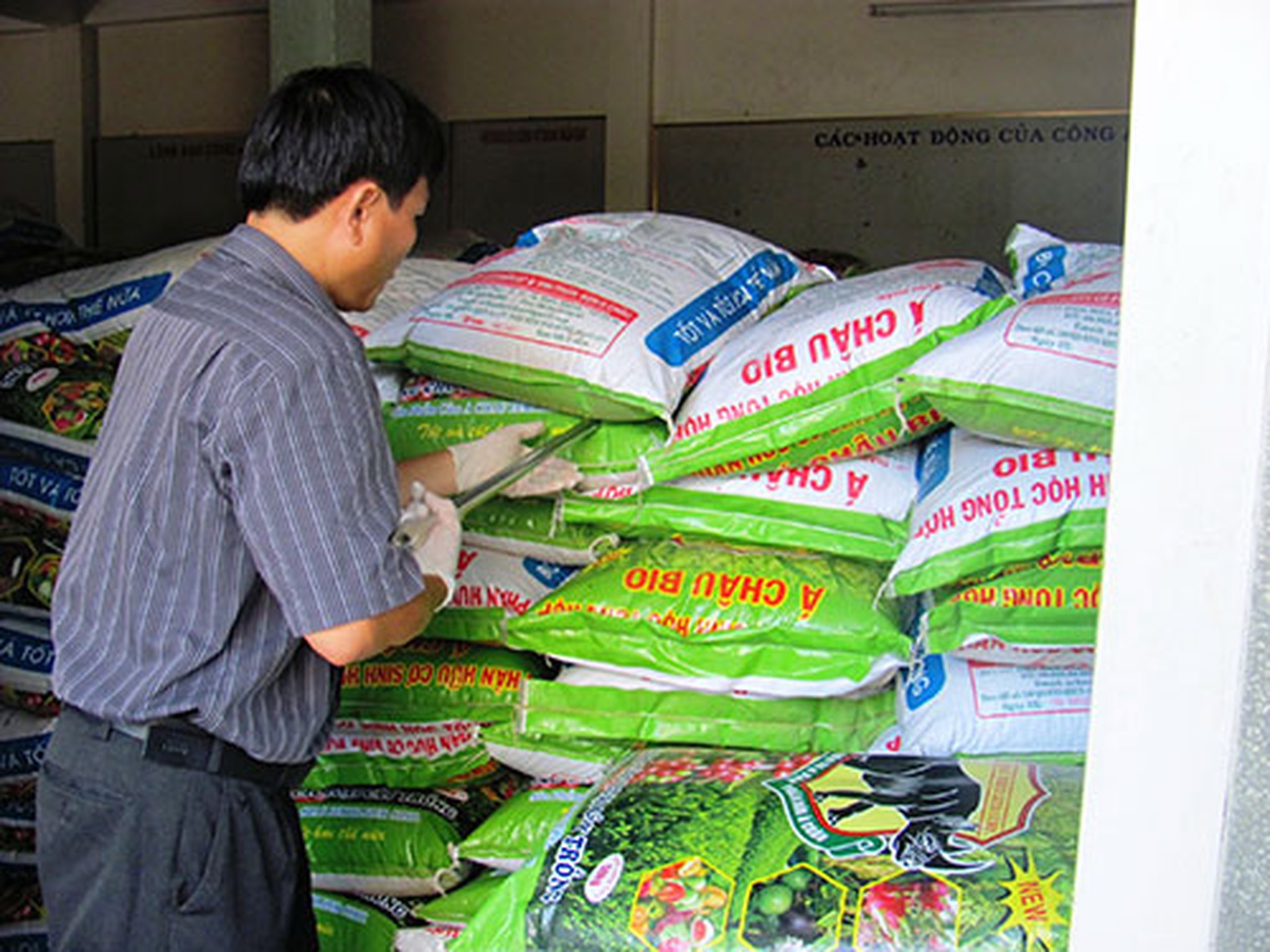 Lấy mẫu để kiểm nghiệm ph&acirc;n b&oacute;n nghi l&agrave;m giả