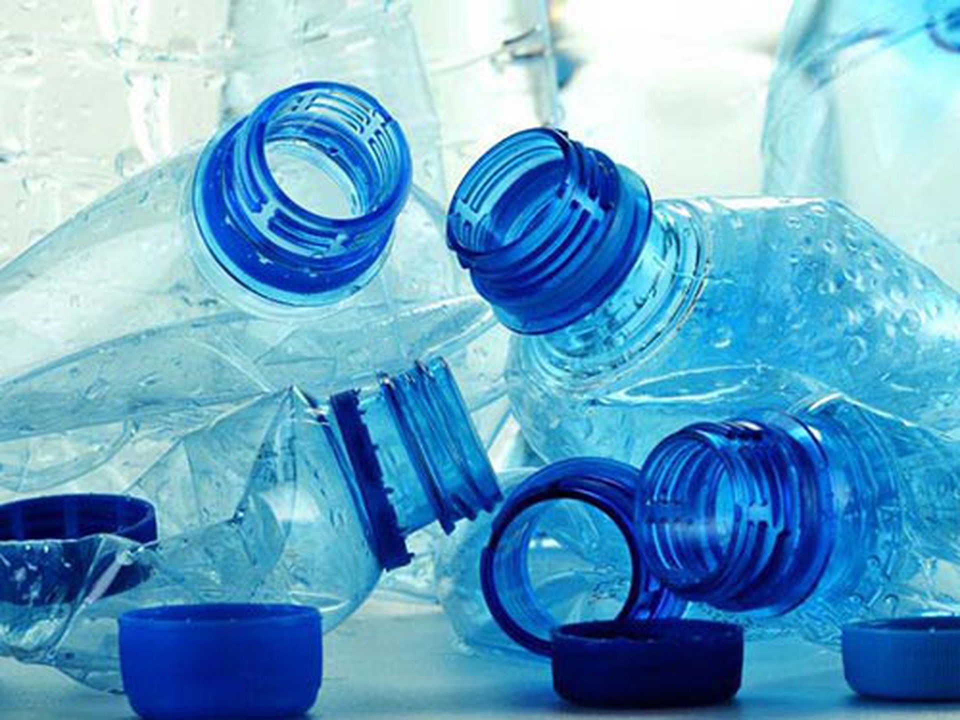 Chất g&acirc;y gi&aacute;n đoạn nội tiết bisphenol A thường c&oacute; trong đồ d&ugrave;ng bằng nhựa Ảnh: MEDICAL DAILY