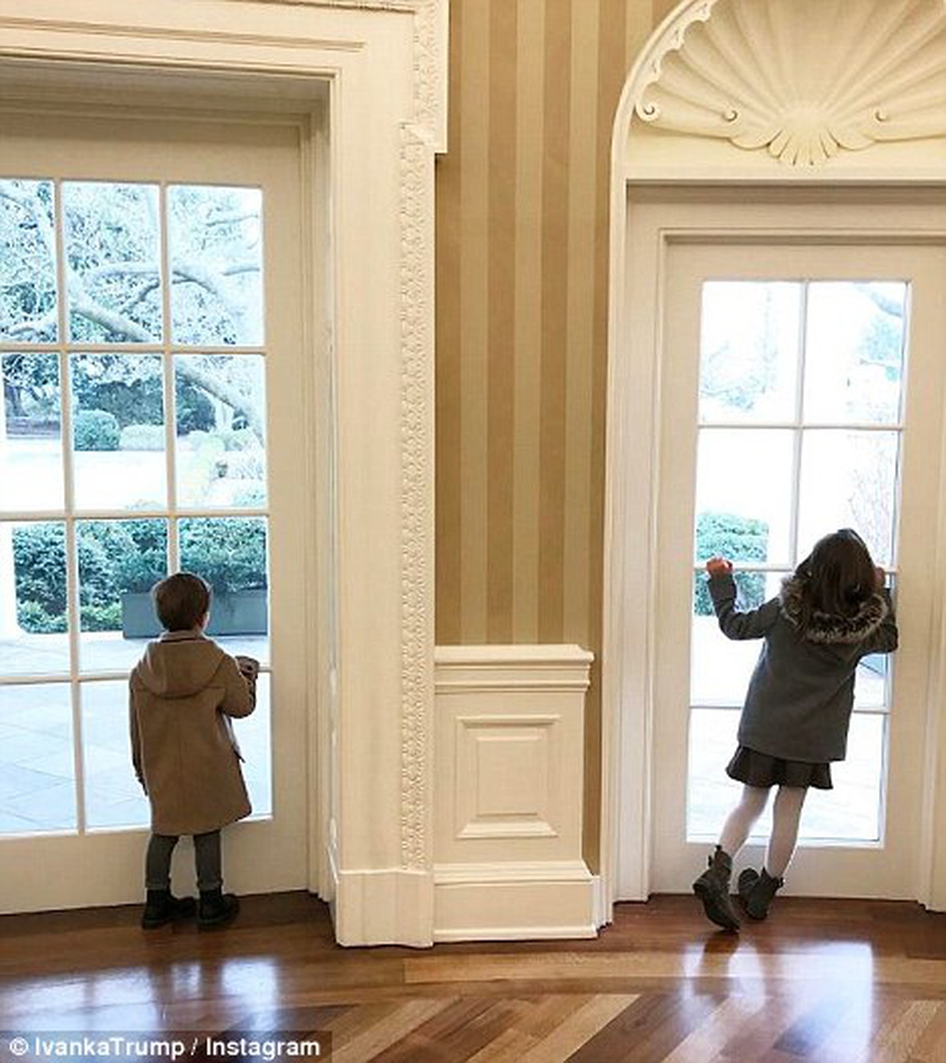 
Tổng thống Trump đang c&oacute; kh&ocirc;ng &iacute;t h&agrave;nh động khiến nhiều người bất b&igrave;nh, nhưng những h&agrave;nh động đ&aacute;ng y&ecirc;u của c&aacute;c nh&oacute;c t&igrave; nh&agrave; Trump th&igrave; vẫn khiến nhiều người y&ecirc;u th&iacute;ch. Ảnh: Instagram
