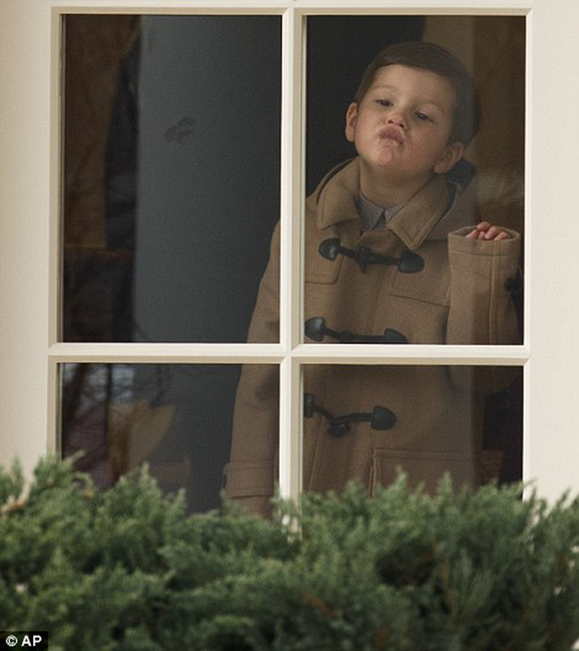 
H&agrave;nh động đ&aacute;ng y&ecirc;u của c&aacute;c nh&oacute;c t&igrave; nh&agrave; Trump th&igrave; vẫn khiến nhiều người y&ecirc;u th&iacute;ch. Ảnh: Instagram
