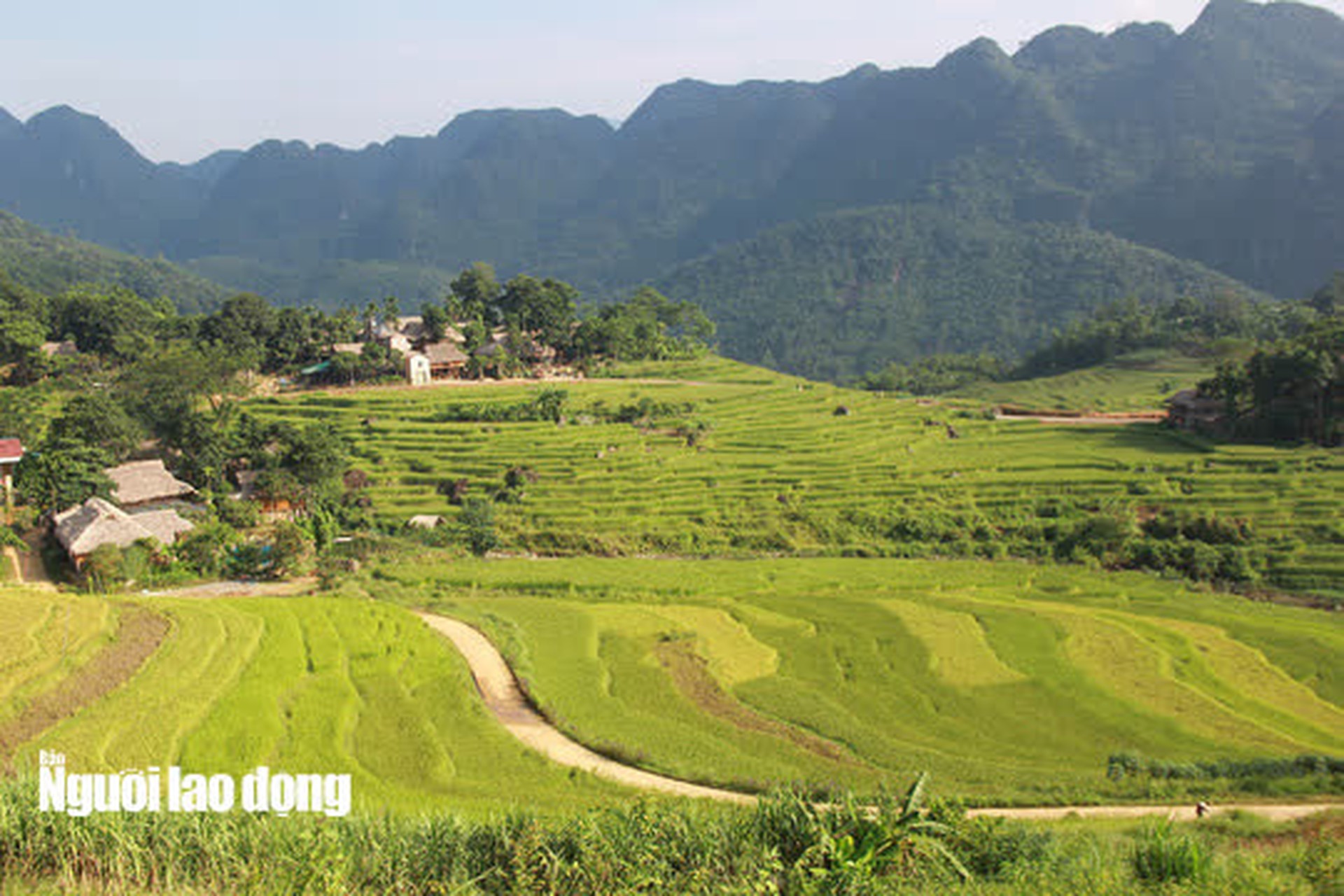 Vẻ đẹp m&ecirc; mẩn m&ugrave;a v&agrave;ng ở P&ugrave; Lu&ocirc;ng - Sa Pa của xứ Thanh - Ảnh 2.