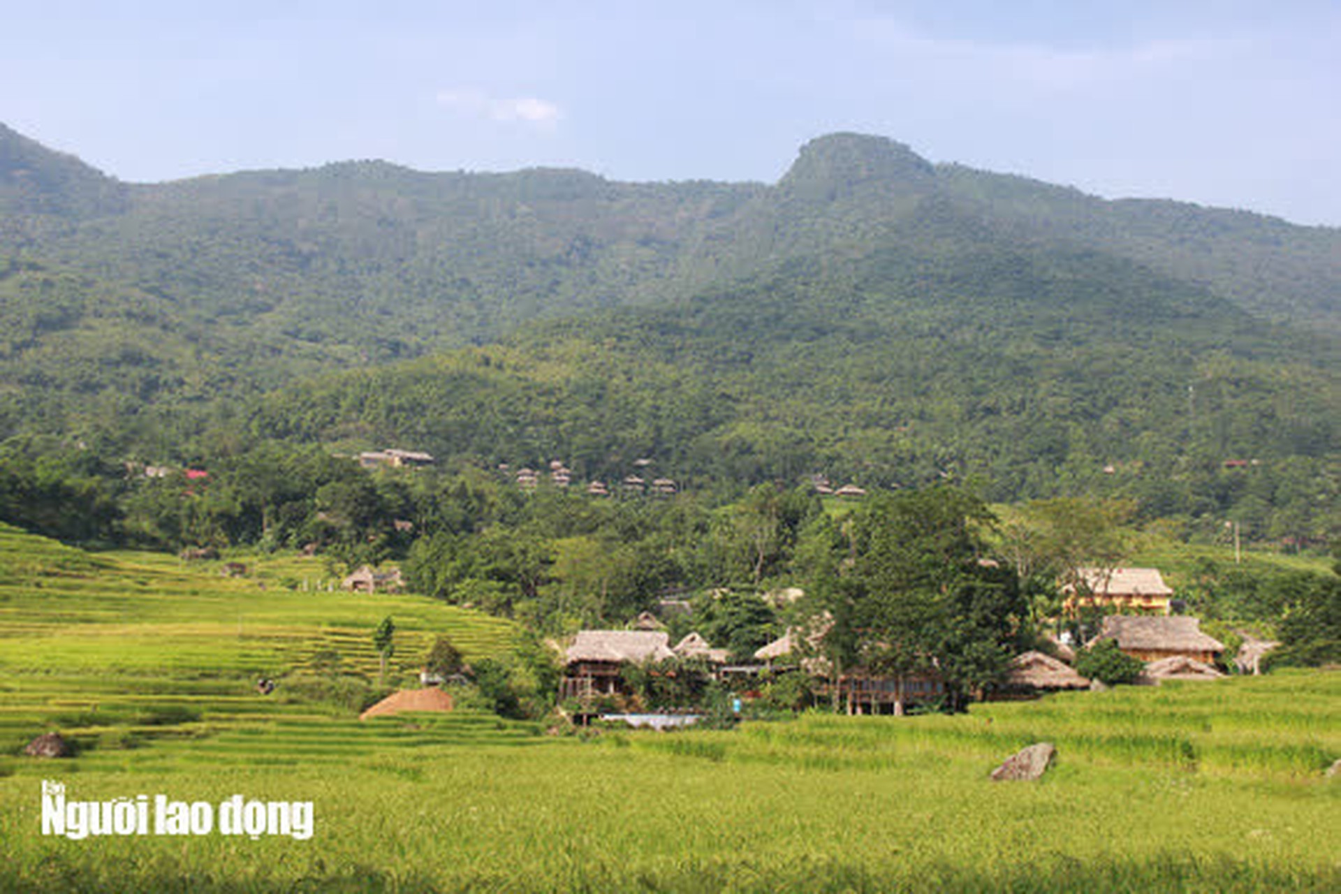 Vẻ đẹp m&ecirc; mẩn m&ugrave;a v&agrave;ng ở P&ugrave; Lu&ocirc;ng - Sa Pa của xứ Thanh - Ảnh 4.