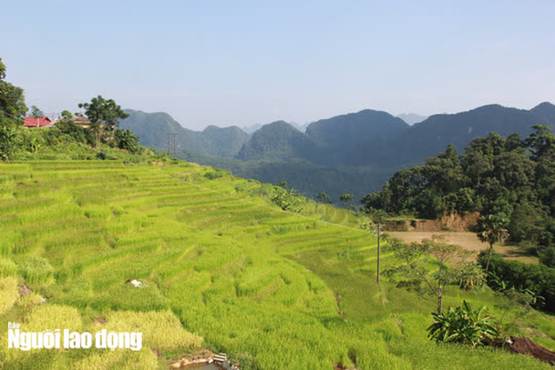 Vẻ đẹp m&ecirc; mẩn m&ugrave;a v&agrave;ng ở P&ugrave; Lu&ocirc;ng - Sa Pa của xứ Thanh - Ảnh 12.