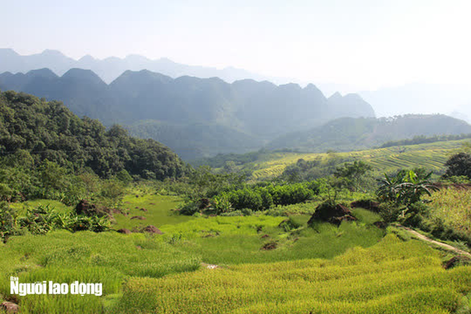 Vẻ đẹp m&ecirc; mẩn m&ugrave;a v&agrave;ng ở P&ugrave; Lu&ocirc;ng - Sa Pa của xứ Thanh - Ảnh 13.