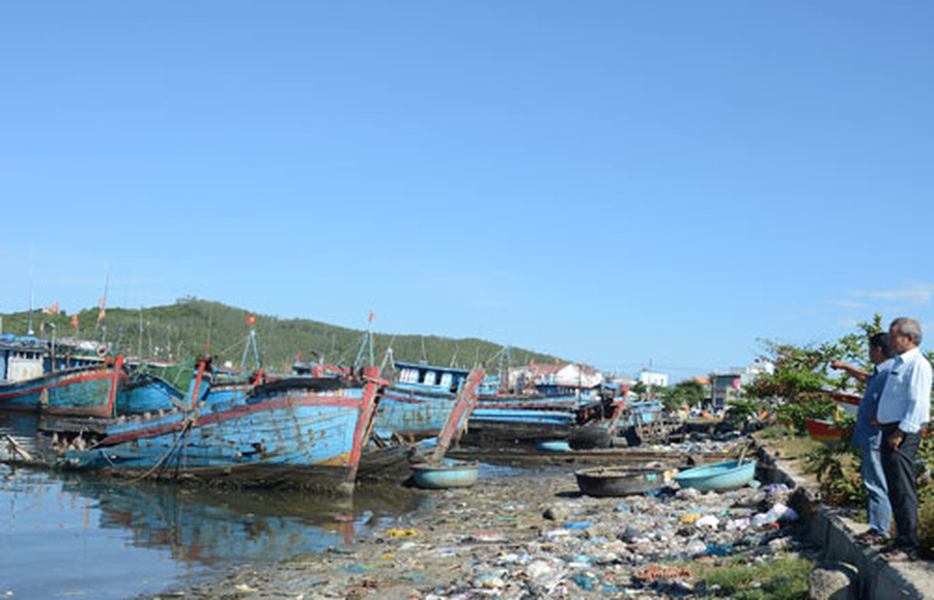 Khai tử t&agrave;u gi&atilde; c&agrave;o để giữ sinh th&aacute;i biển - Ảnh 2.