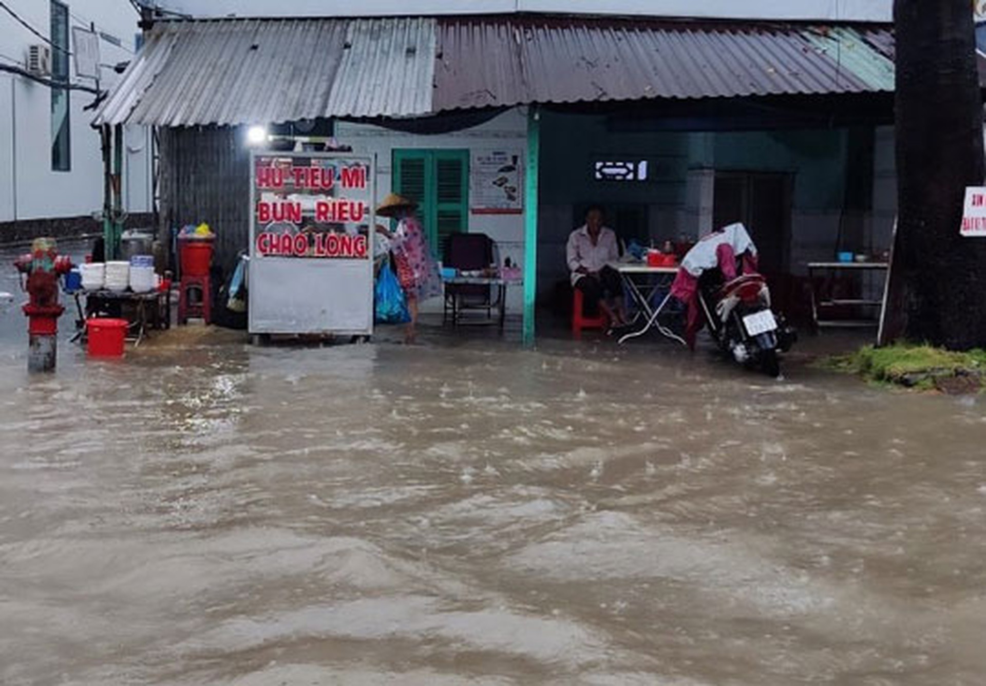 Ứng ph&oacute; với lũ v&agrave; triều cường - Ảnh 1.