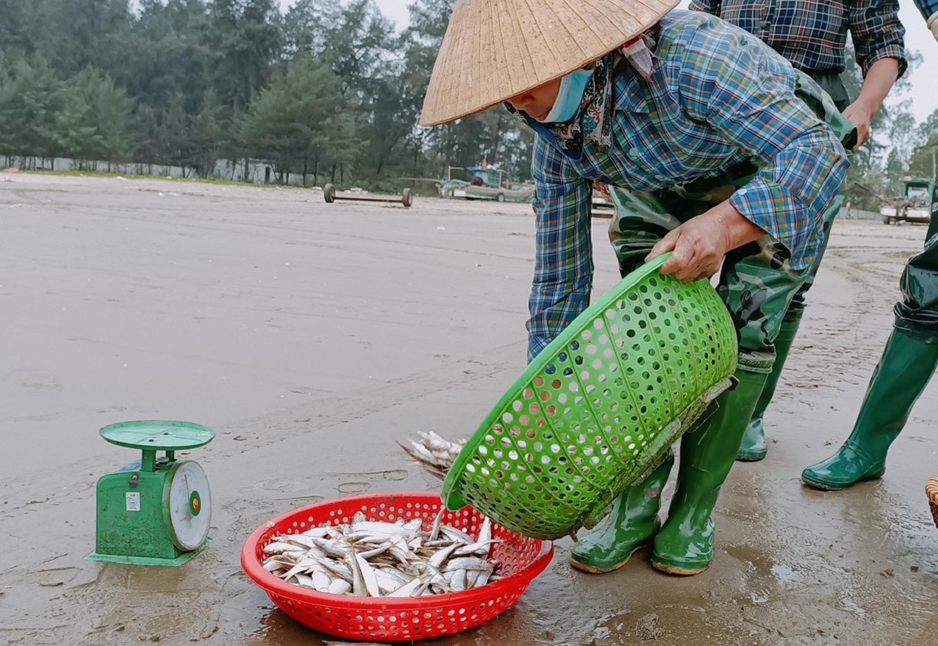 Ngư d&acirc;n đ&oacute;n lộc biển đầu năm, t&agrave;u cứ cập bờ l&agrave; ch&aacute;y h&agrave;ng - Ảnh 8.