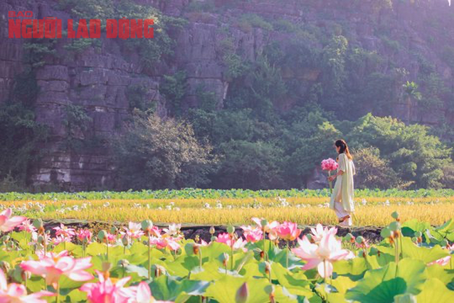M&aacute;t l&agrave;nh ng&agrave;y hạ - Ảnh 6.