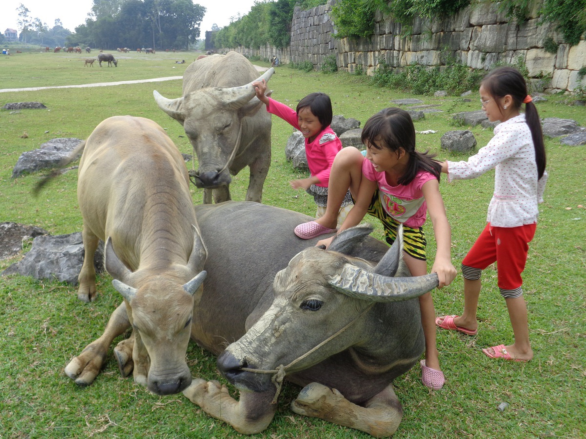 Ngỡ ng&agrave;ng trước cảnh thanh b&igrave;nh ở di sản Th&agrave;nh nh&agrave; Hồ - Ảnh 13.