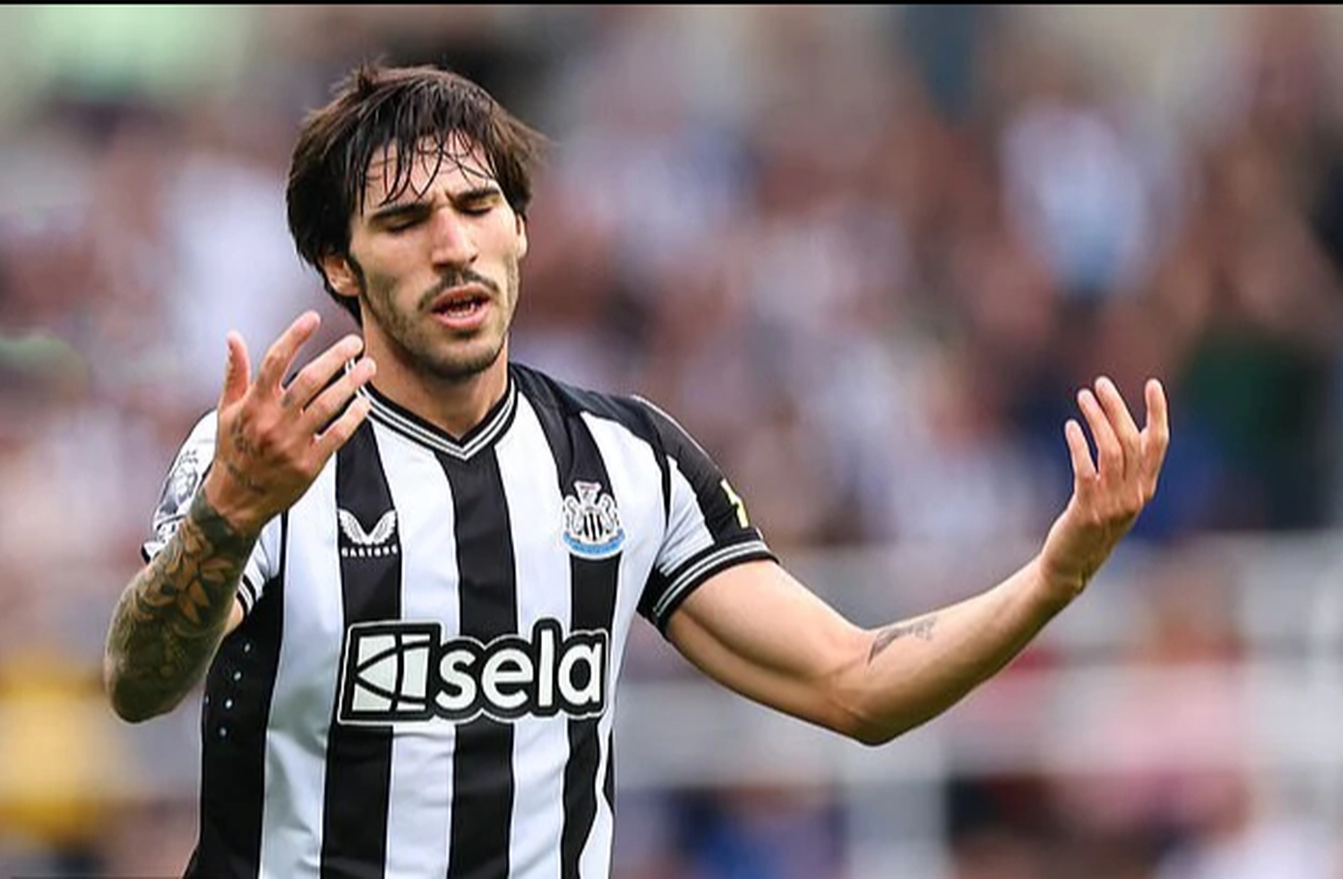 Sao Newcastle lại bị điều tra tội c&aacute; cược, cựu sao Man United li&ecirc;n quan- Ảnh 1.