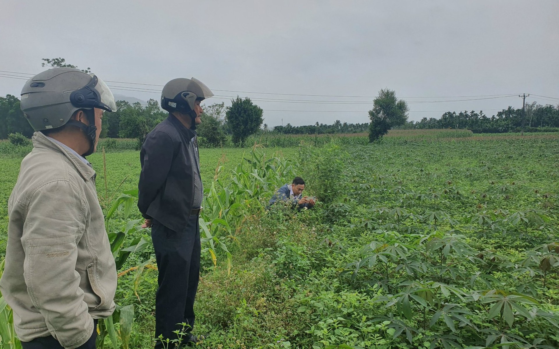 Gi&aacute;m đốc Sở Khoa học v&agrave; C&ocirc;ng nghệ Quảng Ng&atilde;i c&oacute; nhiều vi phạm trong c&ocirc;ng t&aacute;c nghi&ecirc;n cứu khoa học