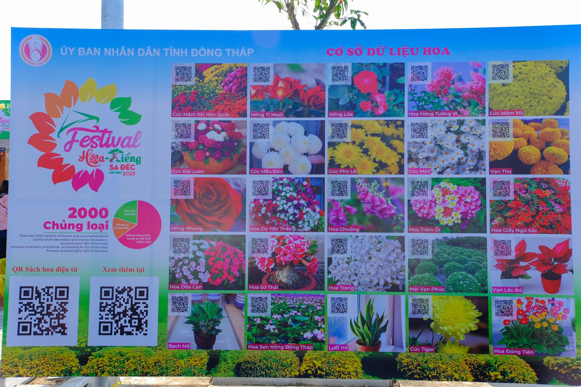 L&agrave;ng hoa Sa Đ&eacute;c tưng bừng sắc m&agrave;u - Ảnh 16.